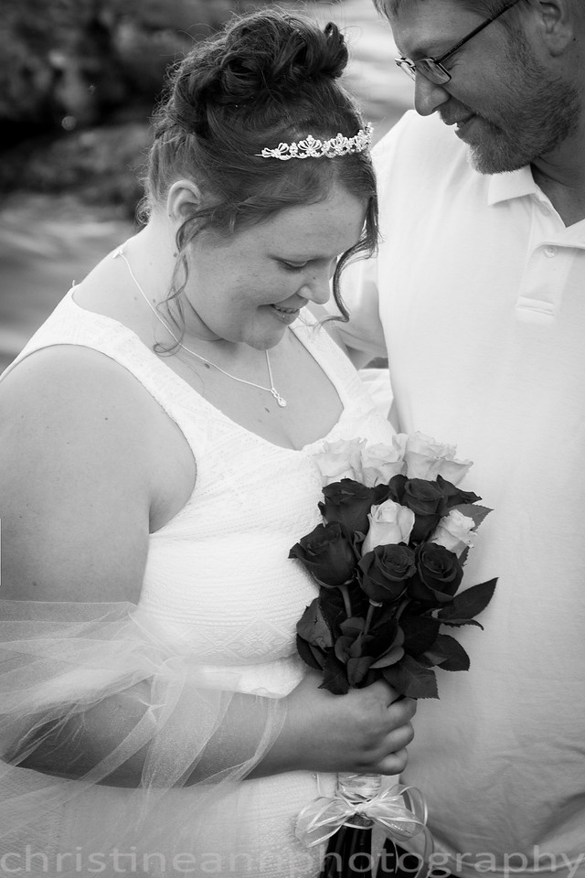 Wedding ceremony at Larsmont Cottags in Duluth MN