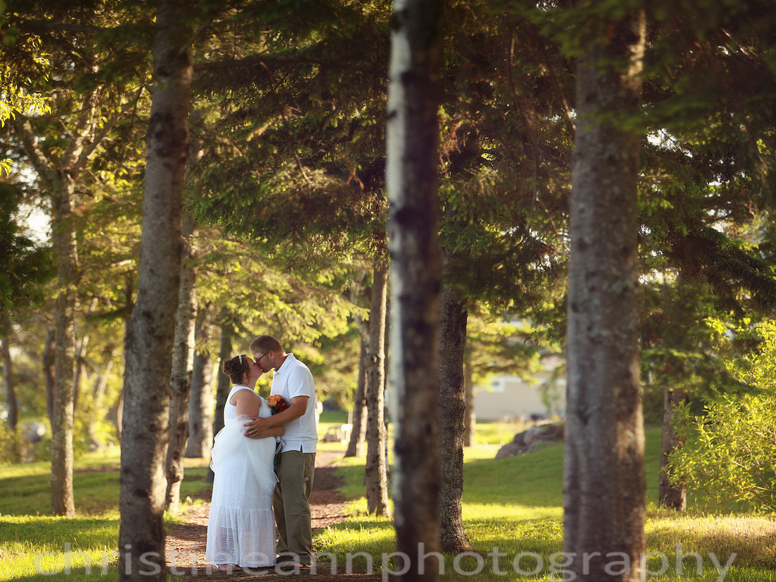 Wedding ceremony at Larsmont Cottags in Duluth MN