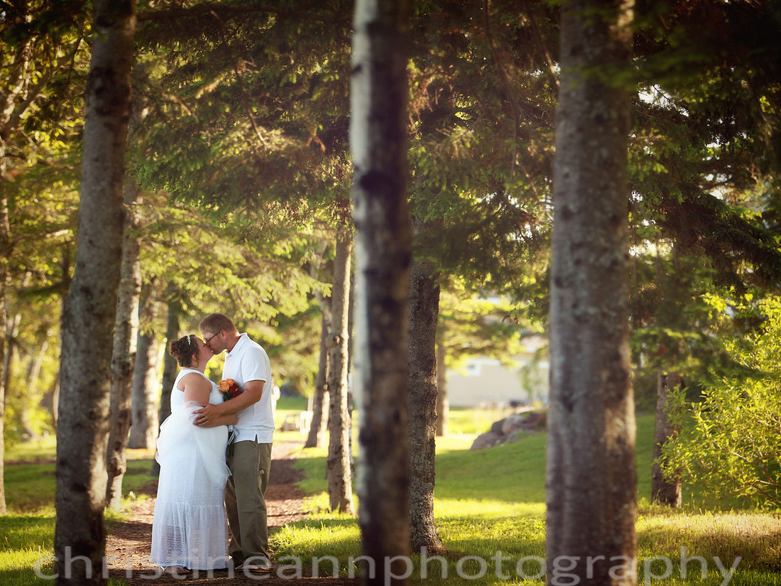 Wedding ceremony at Larsmont Cottags in Duluth MN