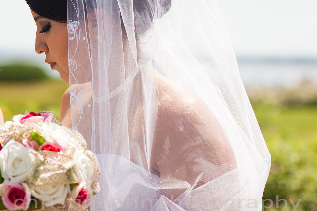 Duluth MN photography of Leif Erickson Park Rose Garden wedding and family