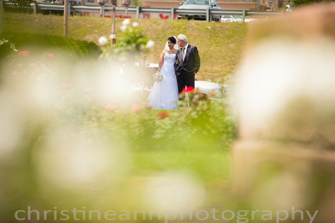 Duluth MN photography of Leif Erickson Park Rose Garden wedding and family