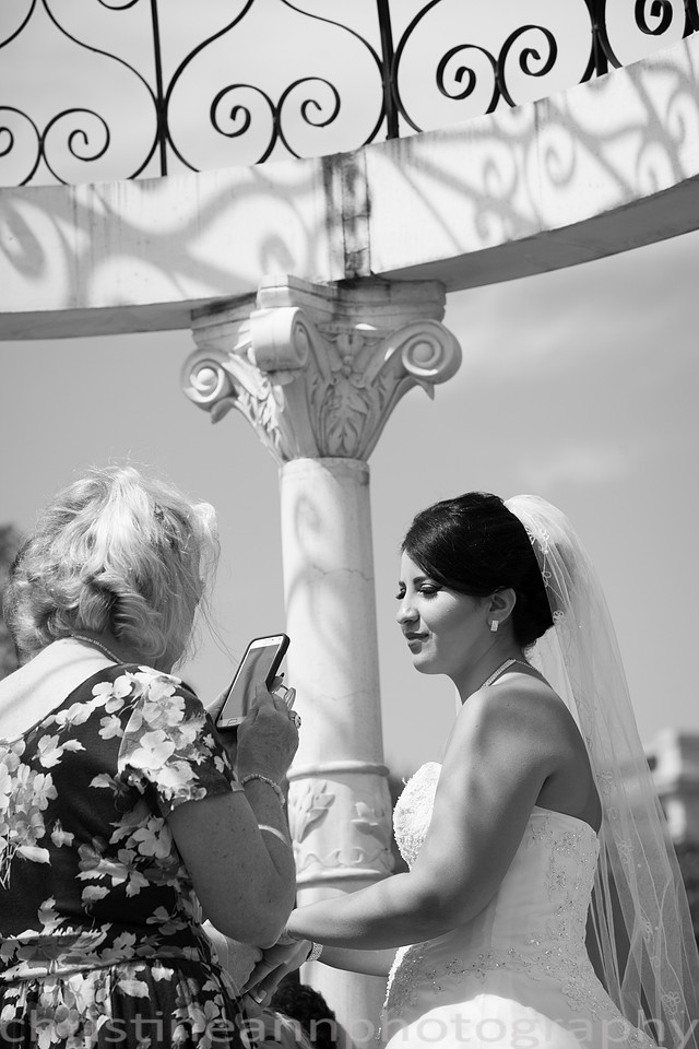 Duluth MN photography of Leif Erickson Park Rose Garden wedding and family