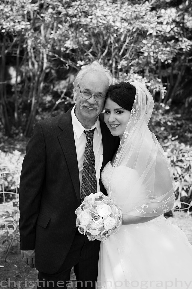Duluth MN photography of Leif Erickson Park Rose Garden wedding and family