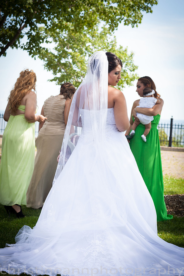 Duluth MN photography of Leif Erickson Park Rose Garden wedding and family