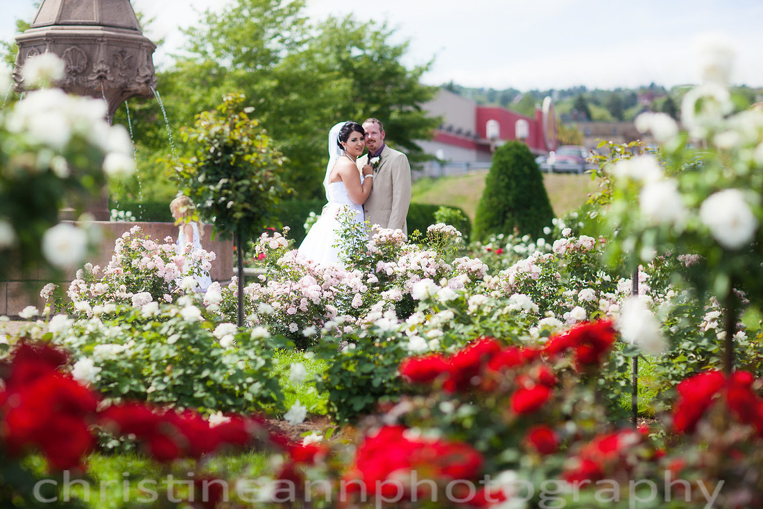 Duluth MN photography of Leif Erickson Park Rose Garden wedding and family