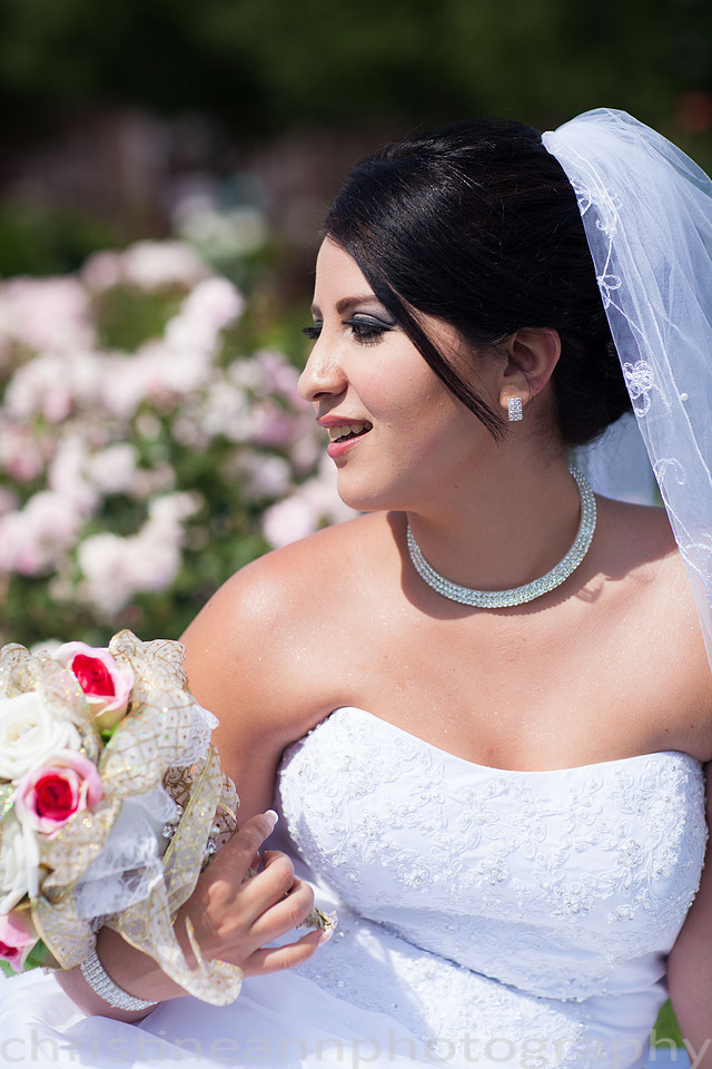 Duluth MN photography of Leif Erickson Park Rose Garden wedding and family