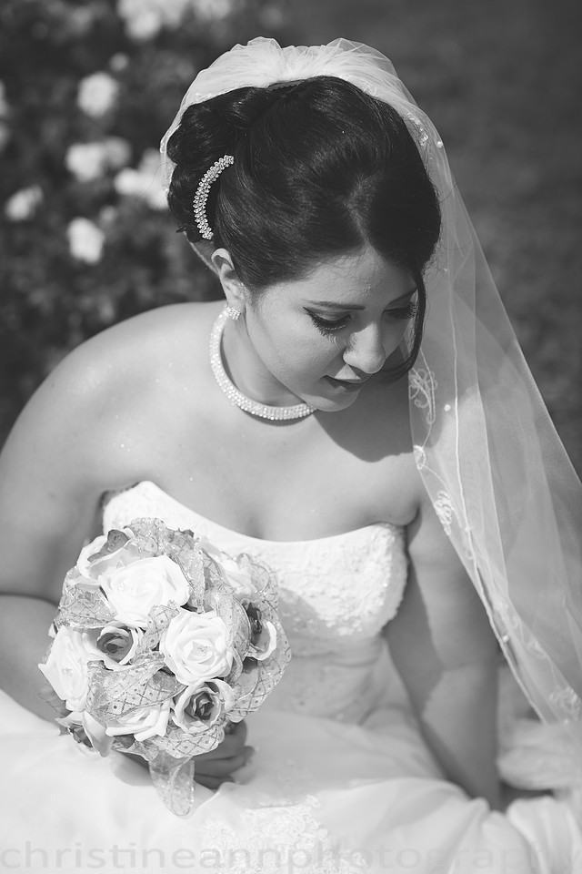 Duluth MN photography of Leif Erickson Park Rose Garden wedding and family