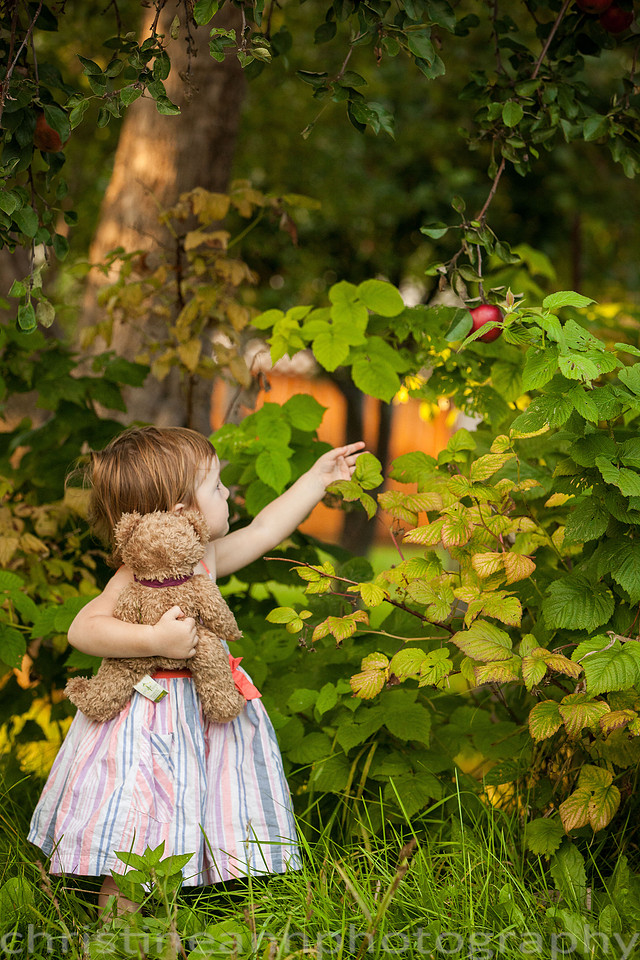 Duluth MN Lifestyle Family Session with a beloved teddy bear, apple tree, apples, sleepy kids, balloons, lawnmower, siblings, diaper, laundry, mom, dad - all outdoors in the back yard of their home.