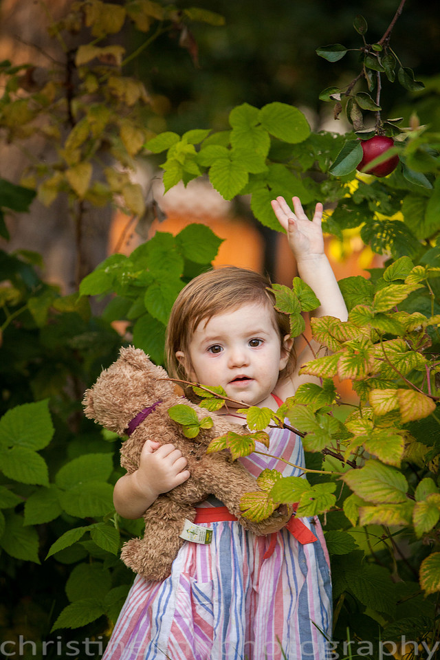 Duluth MN Lifestyle Family Session with a beloved teddy bear, apple tree, apples, sleepy kids, balloons, lawnmower, siblings, diaper, laundry, mom, dad - all outdoors in the back yard of their home.