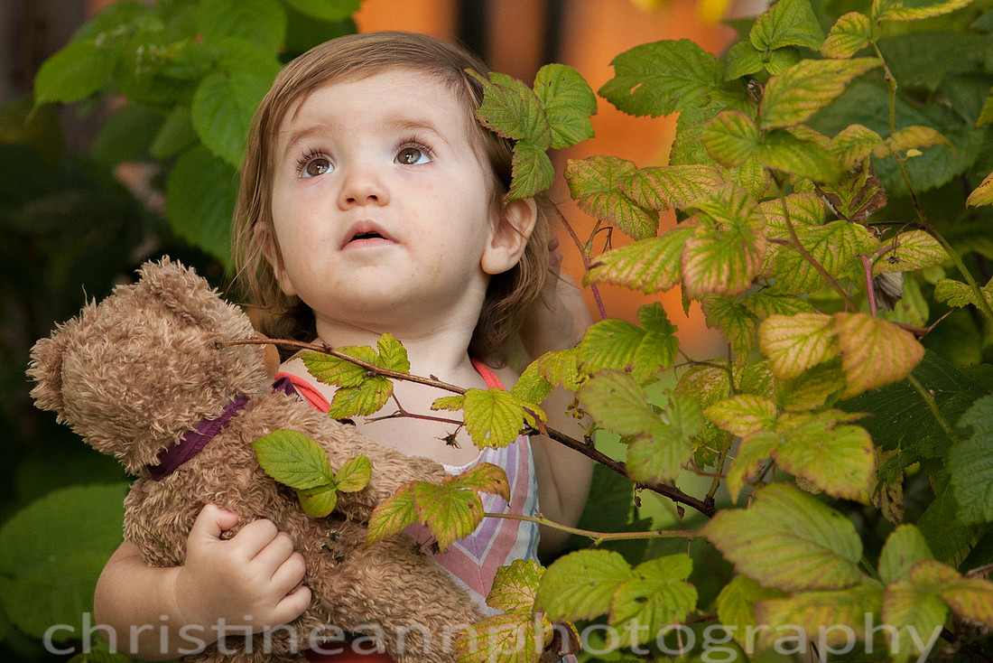 Duluth MN Lifestyle Family Session with a beloved teddy bear, apple tree, apples, sleepy kids, balloons, lawnmower, siblings, diaper, laundry, mom, dad - all outdoors in the back yard of their home.