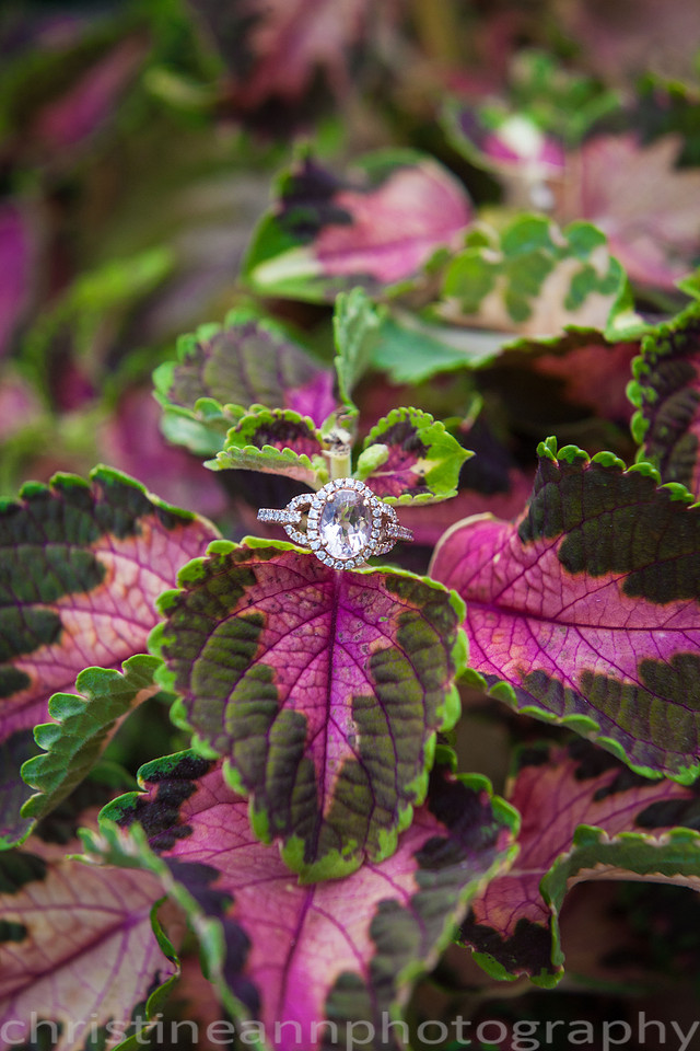 Duluth MN wedding at Womans Club near North Shore Lake Superior with red and white colors.