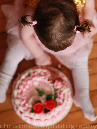 Pink Gold Cake Smash