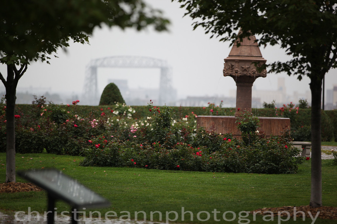Rose Garden.