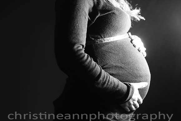 Duluth Maternity Photographer MN Minnesota Hartley Nature Center